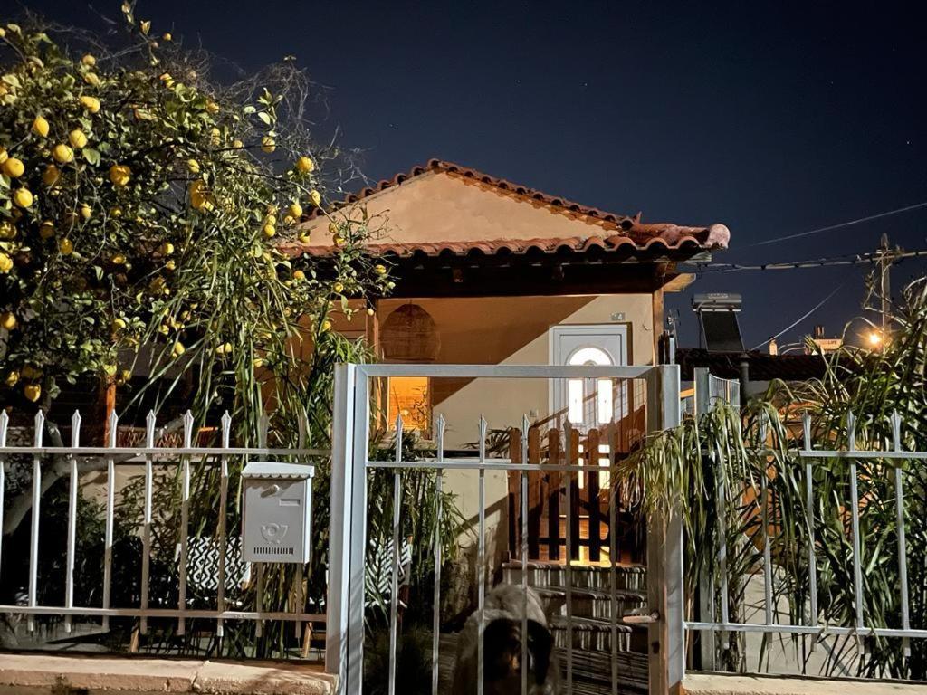 Agapi Home Agios Spyridon  Exterior foto